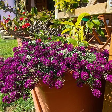 Villa New Entire With Pool And Sea Views Santa Domenica Talao